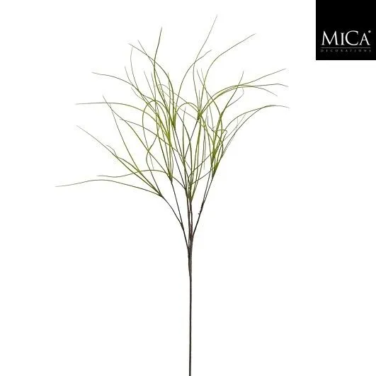 Plante 'Herbe' 118cm